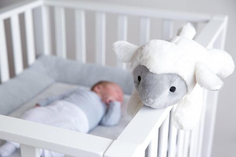 Rotaļlietas pašiem mazākajiem